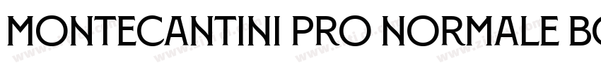 Montecantini Pro Normale Bold字体转换